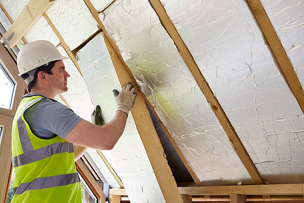 Insulation Repair Services in Madison, SD